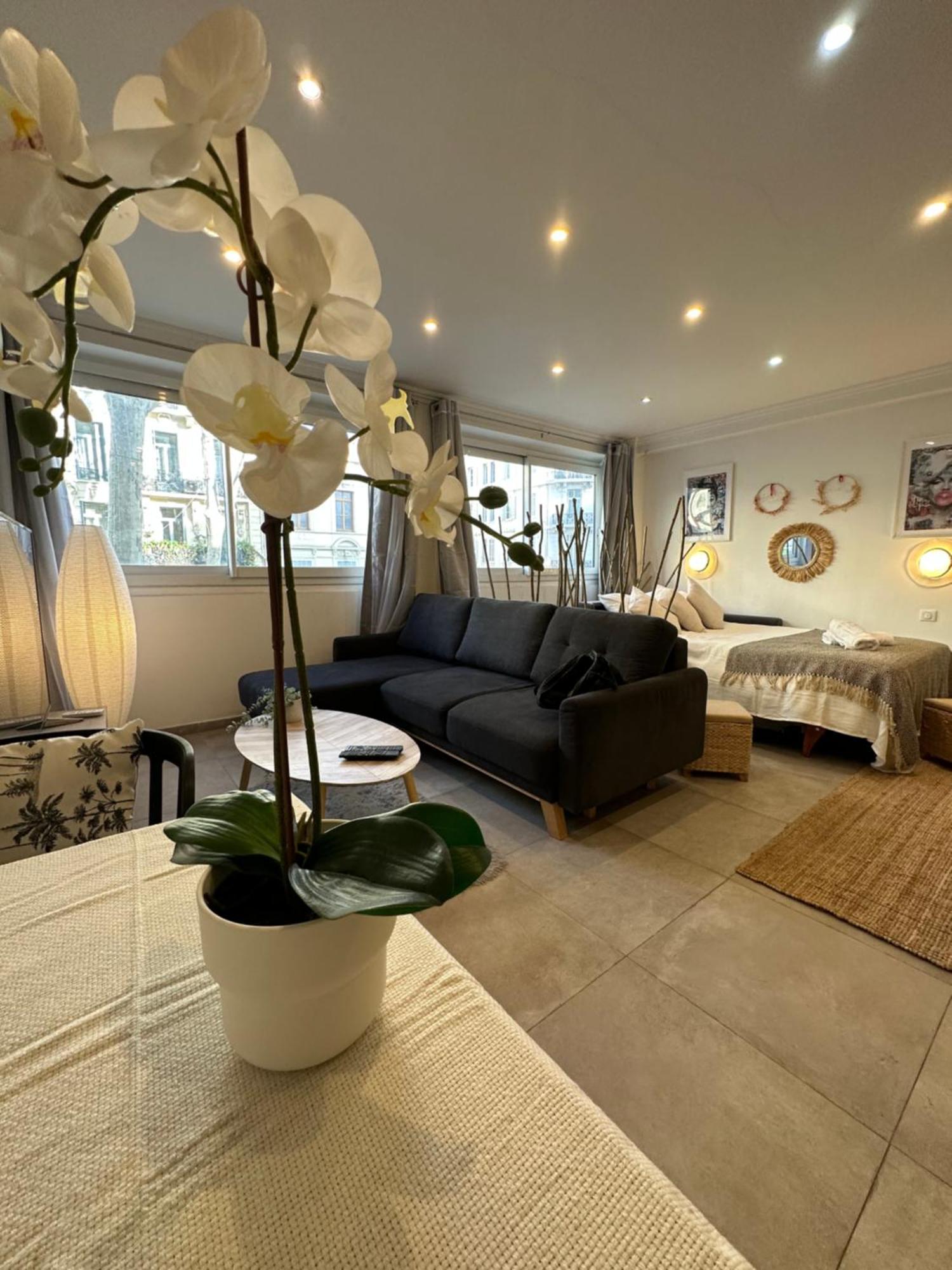 Grand Studio Cosy Cannes Centre Exterior foto
